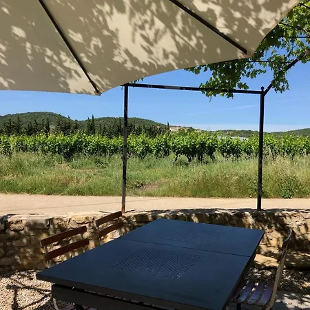 Holiday home Les Vignes Au Mas Dujau